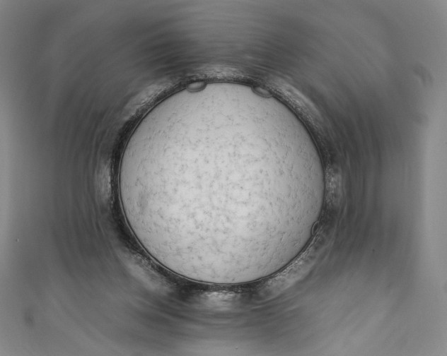 X0000111450158200907271238