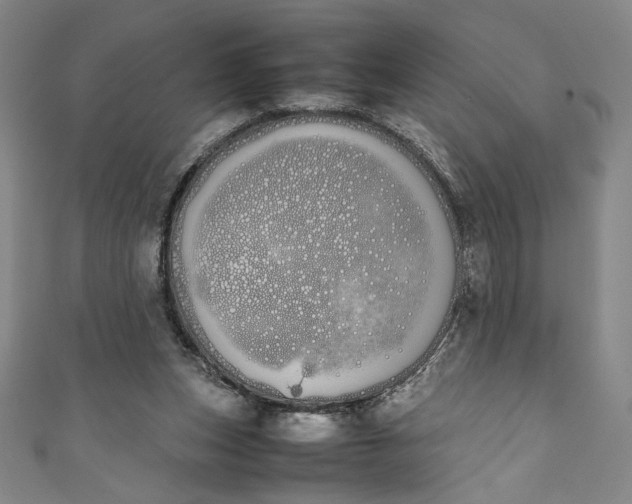 X0000111450159200907271238