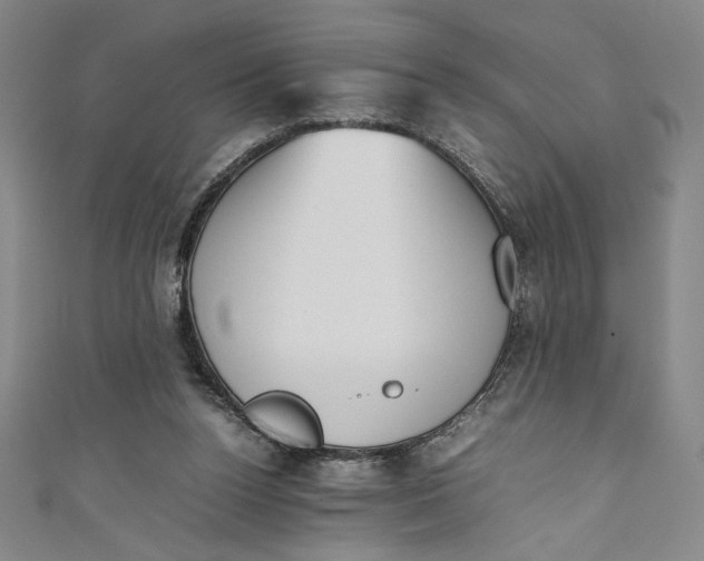 X0000111450160200907271238