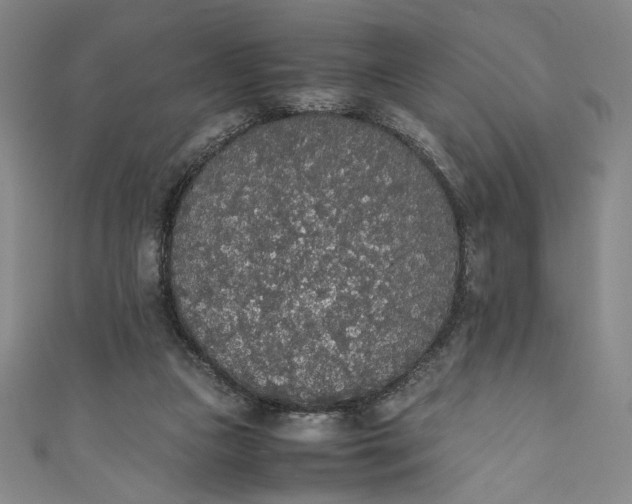 X0000111450161200907271238