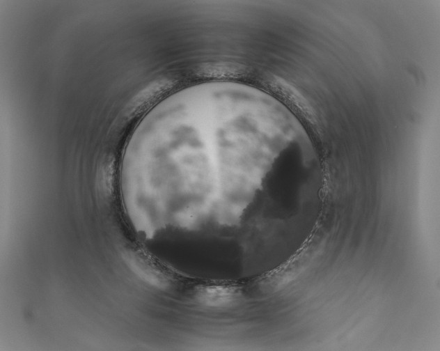 X0000111450163200907271238
