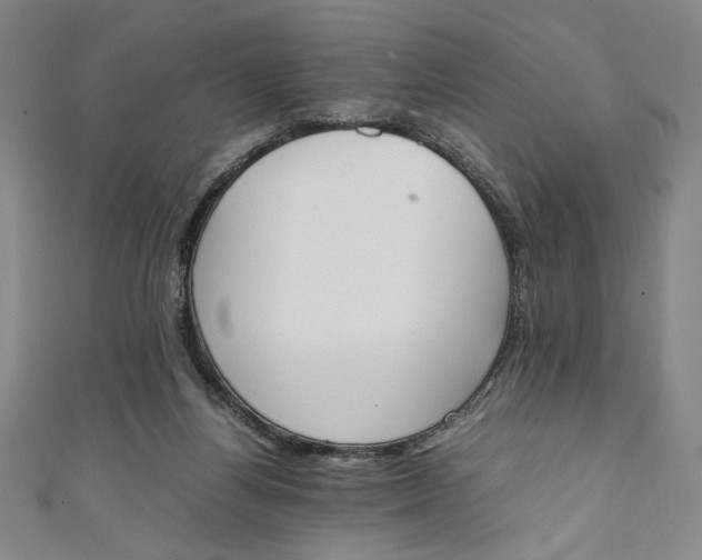 X0000111450164200907271238
