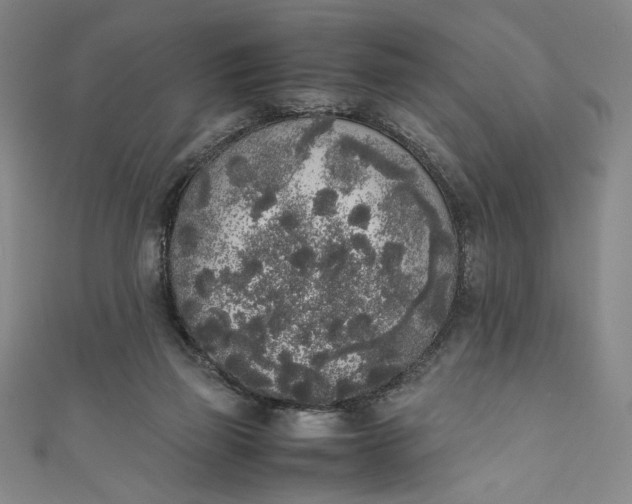 X0000111450165200907271238