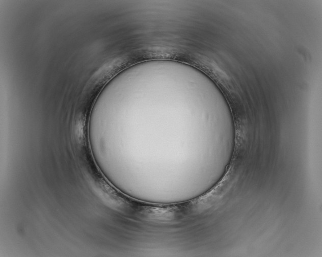X0000111450166200907271238