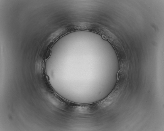 X0000111450168200907271238