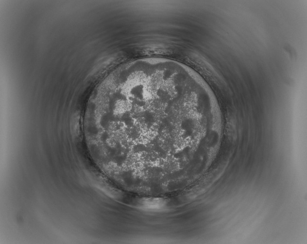 X0000111450169200907271238