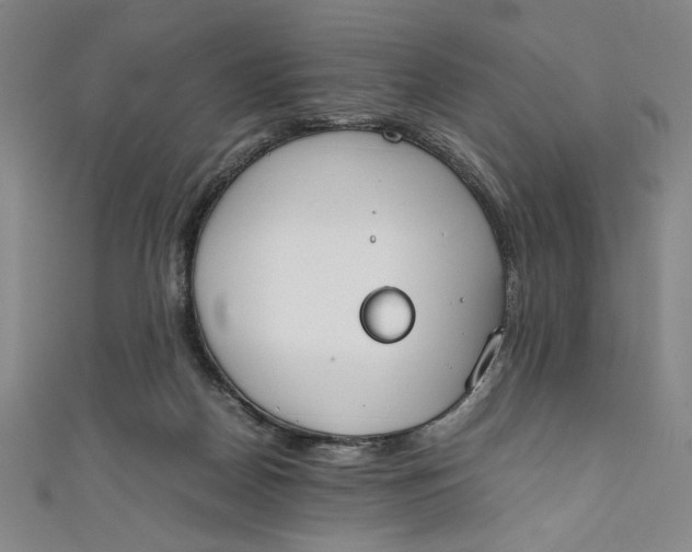 X0000111450170200907271238