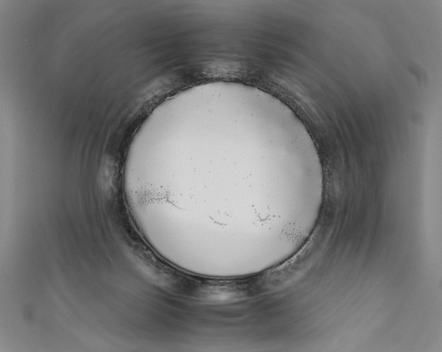 X0000111450171200907271238