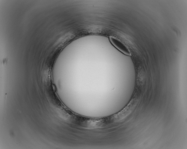 X0000111450172200907271238