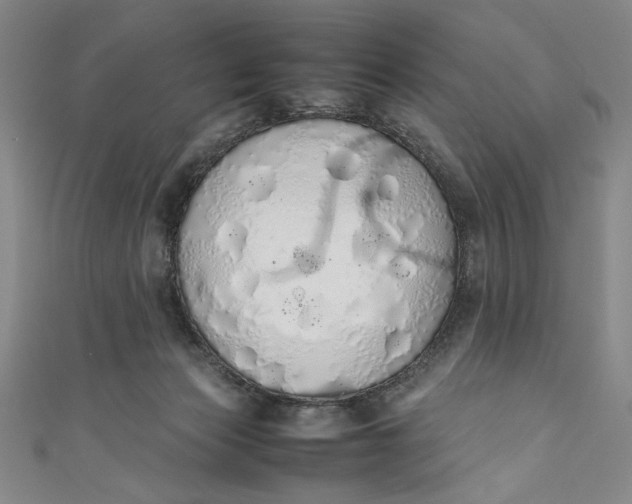 X0000111450173200907271238