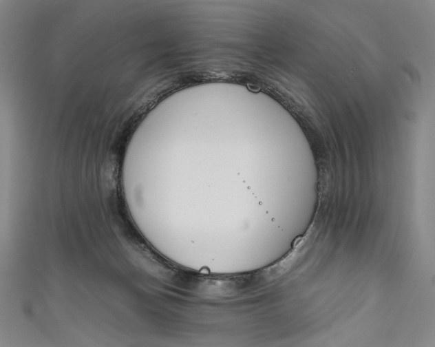 X0000111450174200907271238