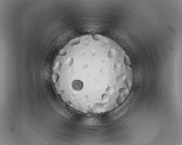 X0000111450175200907271238