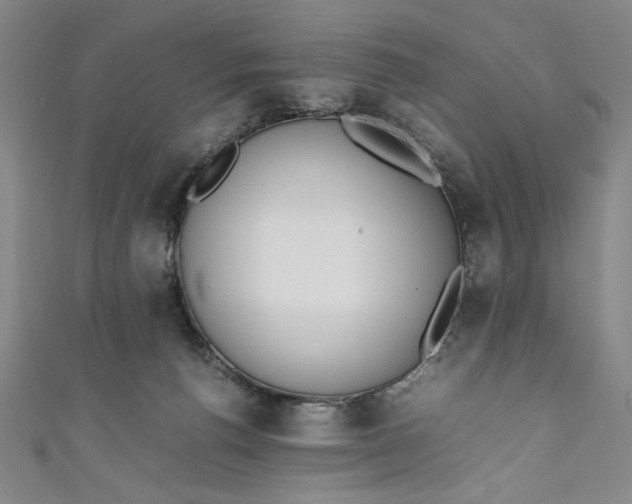 X0000111450176200907271238
