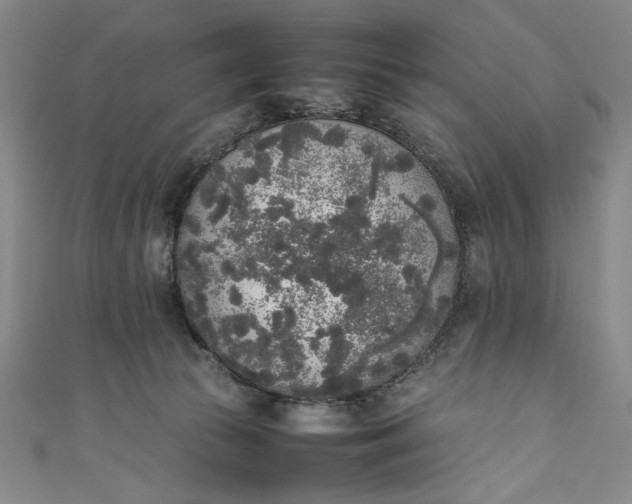 X0000111450177200907271238