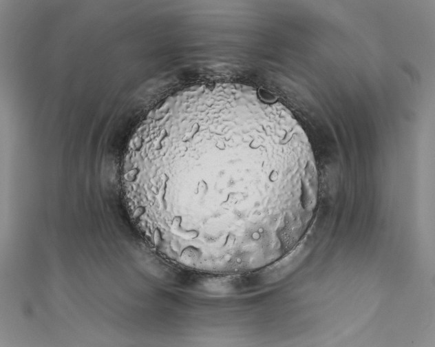 X0000111450178200907271238