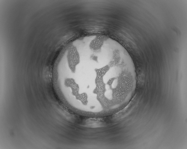 X0000111450179200907271238
