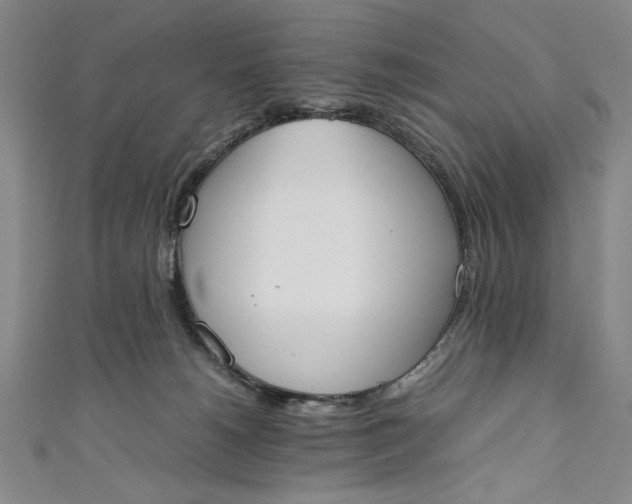 X0000111450180200907271238