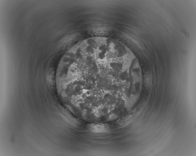 X0000111450181200907271238