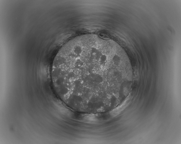 X0000111450182200907271238