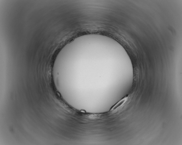 X0000111450184200907271238