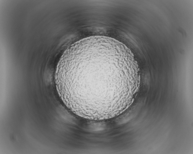 X0000111450185200907271238