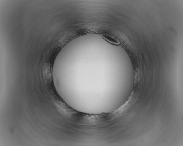 X0000111450186200907271238