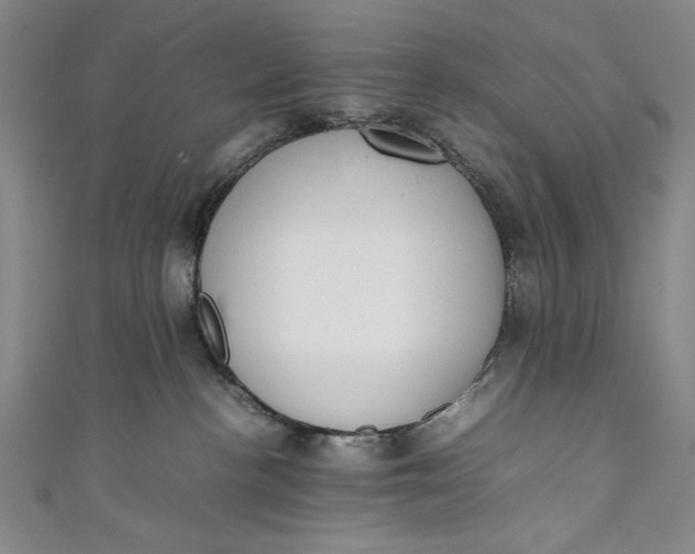 X0000111450188200907271238