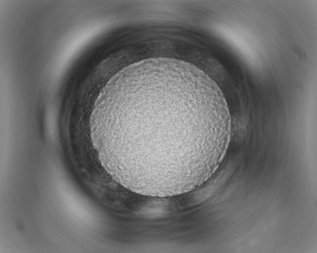 X0000111450189200907271238