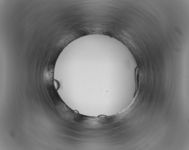 X0000111450190200907271238
