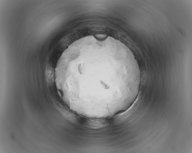 X0000111450191200907271238