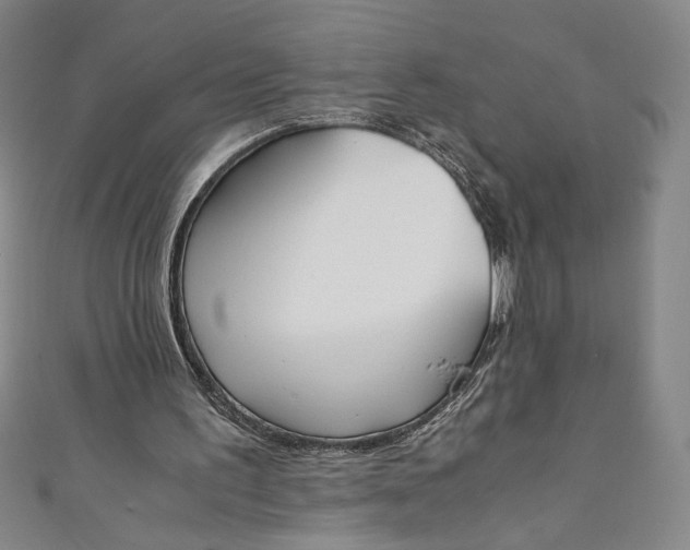 X0000111450195200907271237