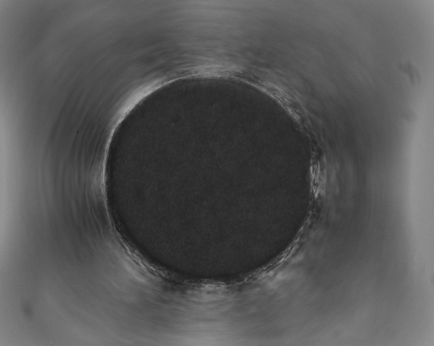 X0000111450196200907271237