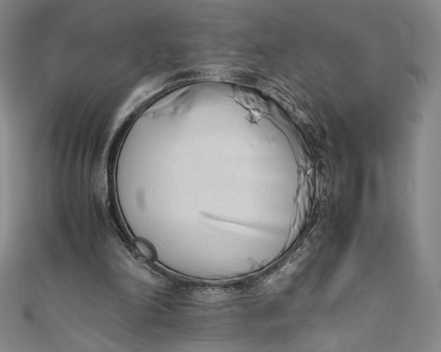 X0000111450198200907271237