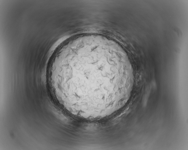 X0000111450200200907271237