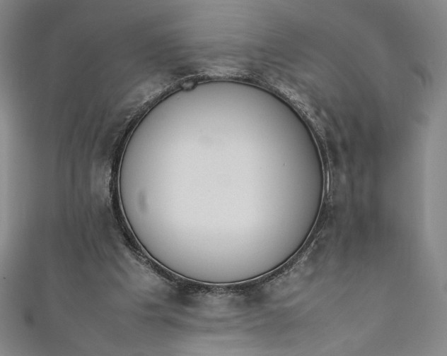 X0000111450201200907271237