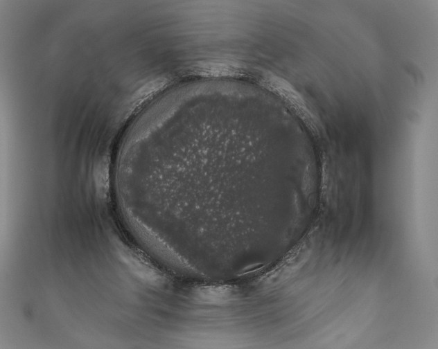 X0000111450202200907271237