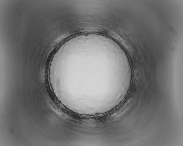 X0000111450203200907271237