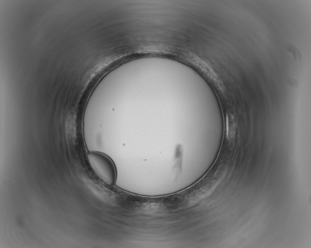 X0000111450204200907271237
