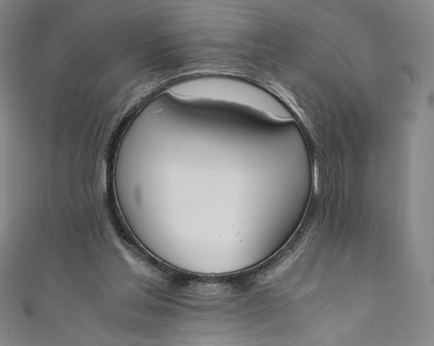 X0000111450205200907271237