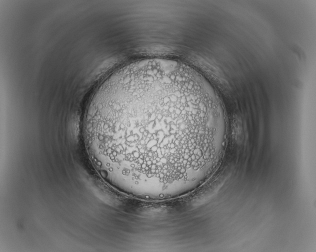 X0000111450206200907271237