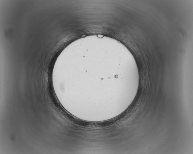 X0000111450207200907271237
