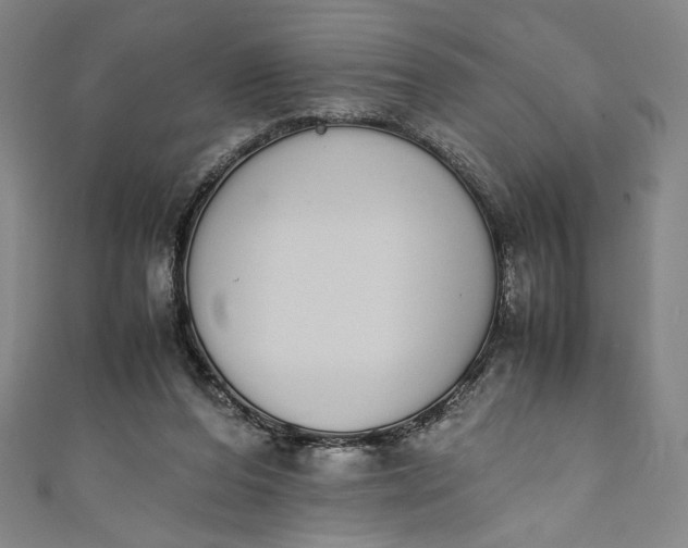 X0000111450208200907271237