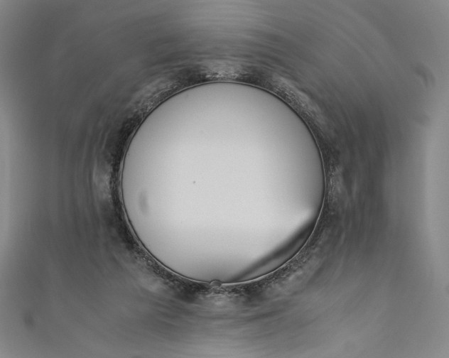 X0000111450209200907271237