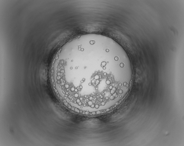 X0000111450210200907271237