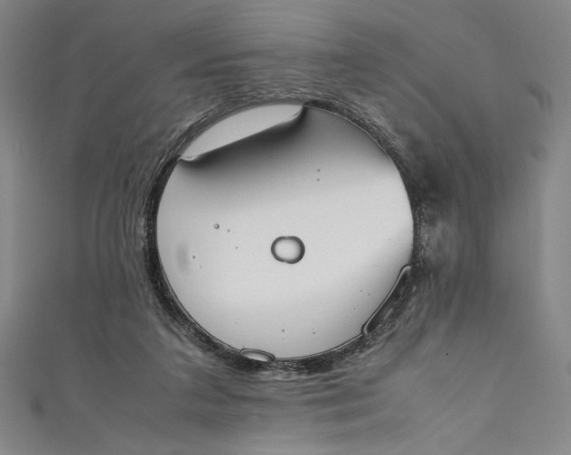 X0000111450211200907271237