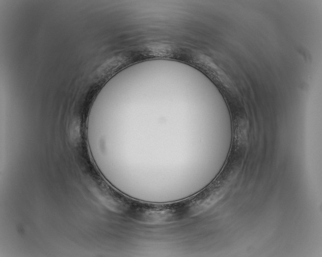 X0000111450213200907271237