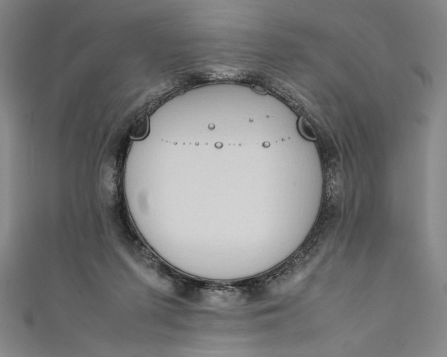 X0000111450215200907271237