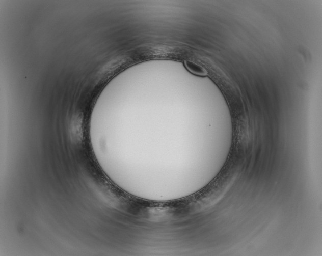 X0000111450216200907271237