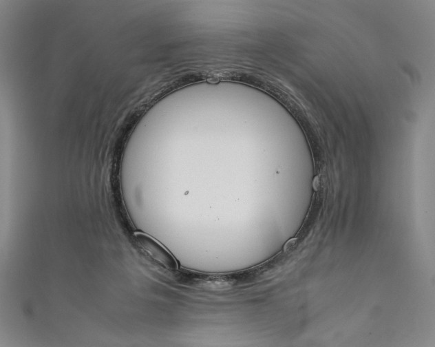 X0000111450217200907271237