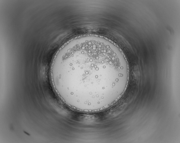X0000111450218200907271237